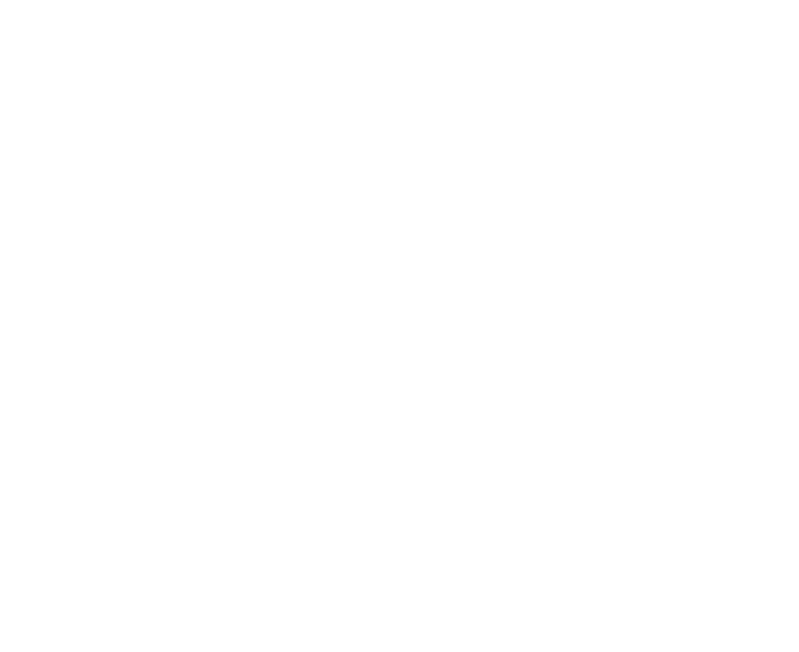 Brio — white bird mark