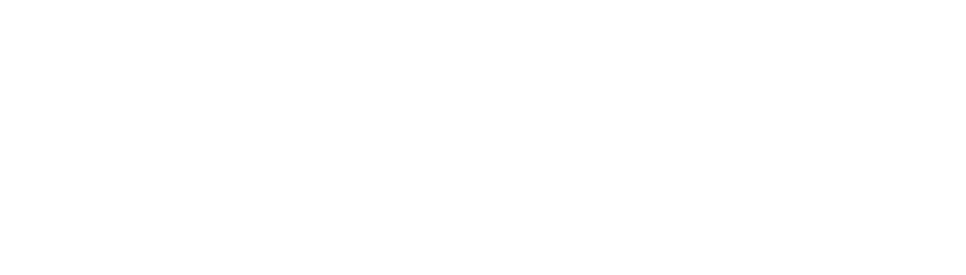 Brio — white logo